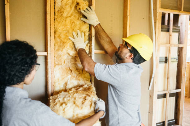 Best Soundproof Insulation  in North Pekin, IL